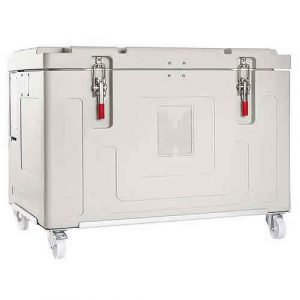 Insulated container for dry ice, model Dricy 360